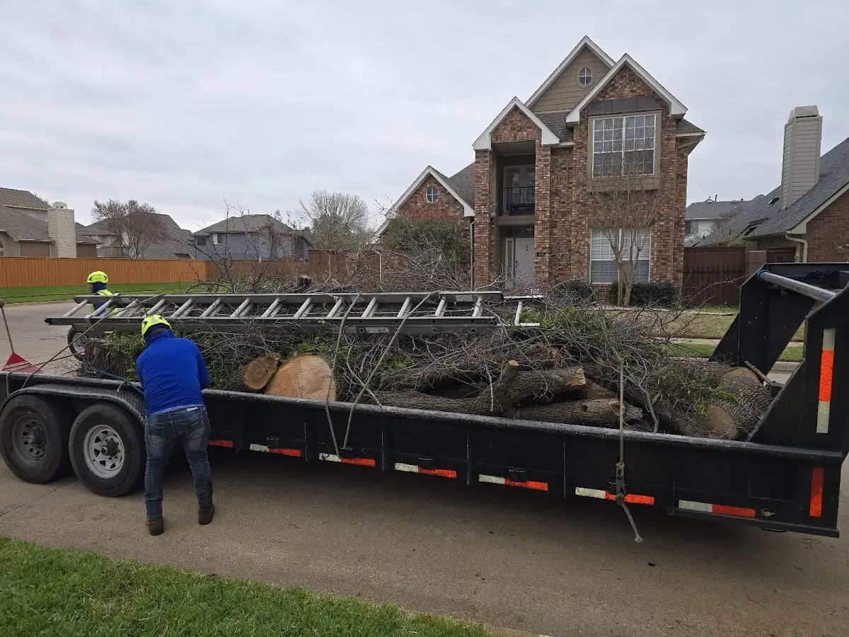 Expert Lot Clearing with proper safety equipment in Hinckley